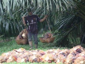 Kinerja menanjak, saham BWPT pimpin kenaikan di sektor agrikultur