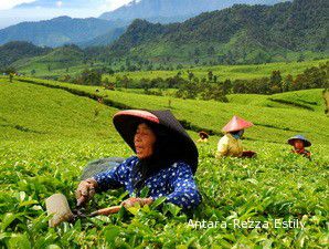 Indonesia-Rusia Kerjasama di Bidang Pertanian