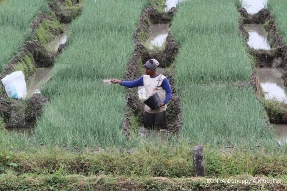 Memperkuat koperasi tani