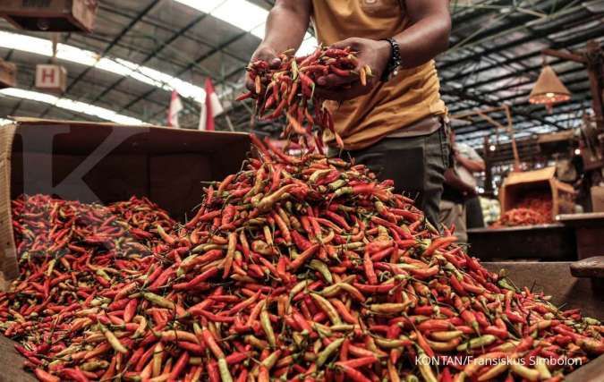 Harga Cabai Rawit Merah dan Ikan Tongkol Naik di DKI Jakarta, Selasa (17/12)