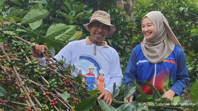 Asa Transmigran Lamongan Menyulap Tanah Kalimantan Timur Jadi Penghasil Kopi Liberika