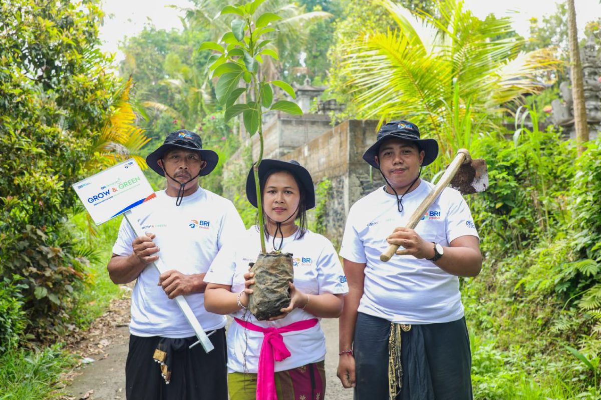 Kontan - BRI Kilas Online