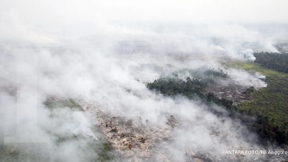 Satu perusahaan jadi tersangka kebakaran hutan