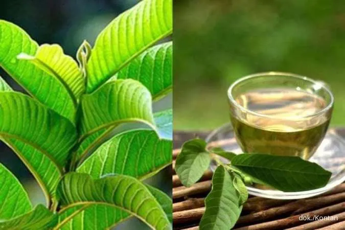  Rebusan Daun Apa untuk Menurunkan Gula Darah Tinggi? Ini 9 Rekomendasinya