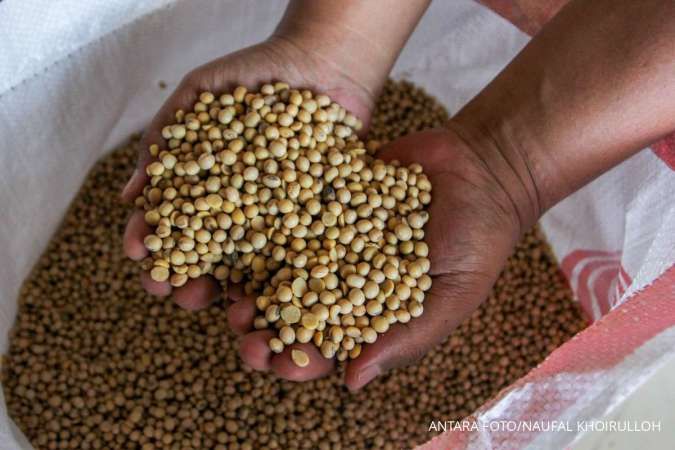 Perlu Segmentasi Pasar Kedelai Lokal dan Impor