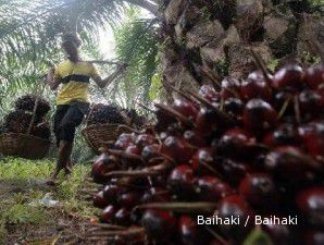 Saham AALI dan SGRO melejit seiring lonjakan kontrak harga CPO global