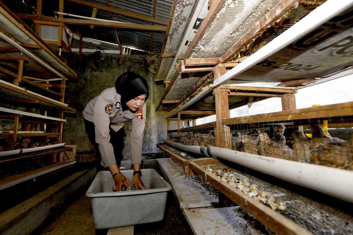 Kontribusi MBG ke Setoran Pajak Hanya 3% Hingga 5%