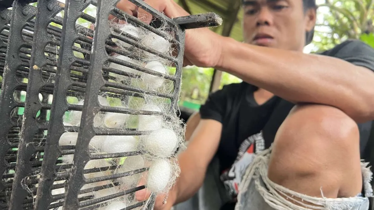 Porsi Pembiayaan UMKM Baru 18,42% pada 2025, OJK Minta Peran Penjaminan