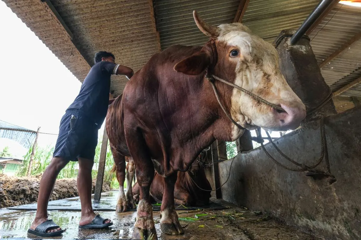 Hari Besar pada 27 Mei 2026: Ada Idul Adha hingga Jamu Nasional
