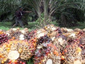 Minyak kian menanjak, harga CPO melonjak hingga 1%