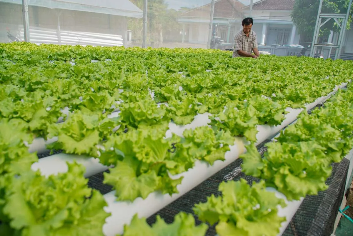 Gama Agro Sejati Perkuat Pendampingan Petani di Tengah Tantangan Ketahanan Pangan