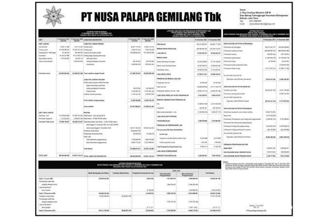 Laporan Keuangan PT Nusa Palapa Gemilang
