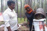 Melongok lahan Prabowo di Aceh Tengah, ada Bandara Rembele dan Batalyon 114 Musara