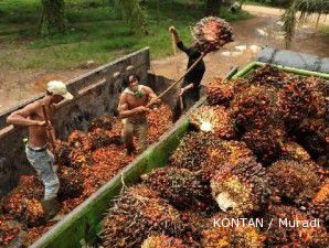 Permata Hijau bangun pabrik Rp 2 triliun 