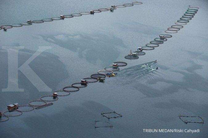 Menteri Siti: Pencemaran Danau Toba berat