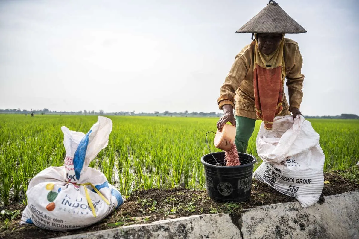 Serapan Pupuk Subsidi Melonjak Setelah Penurunan HET