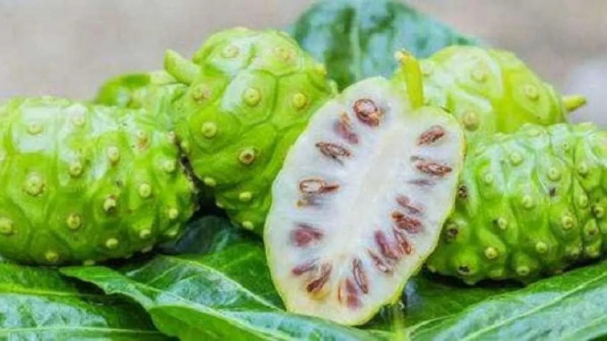 Ini obat batuk herbal yang bisa Anda buat sendiri di rumah