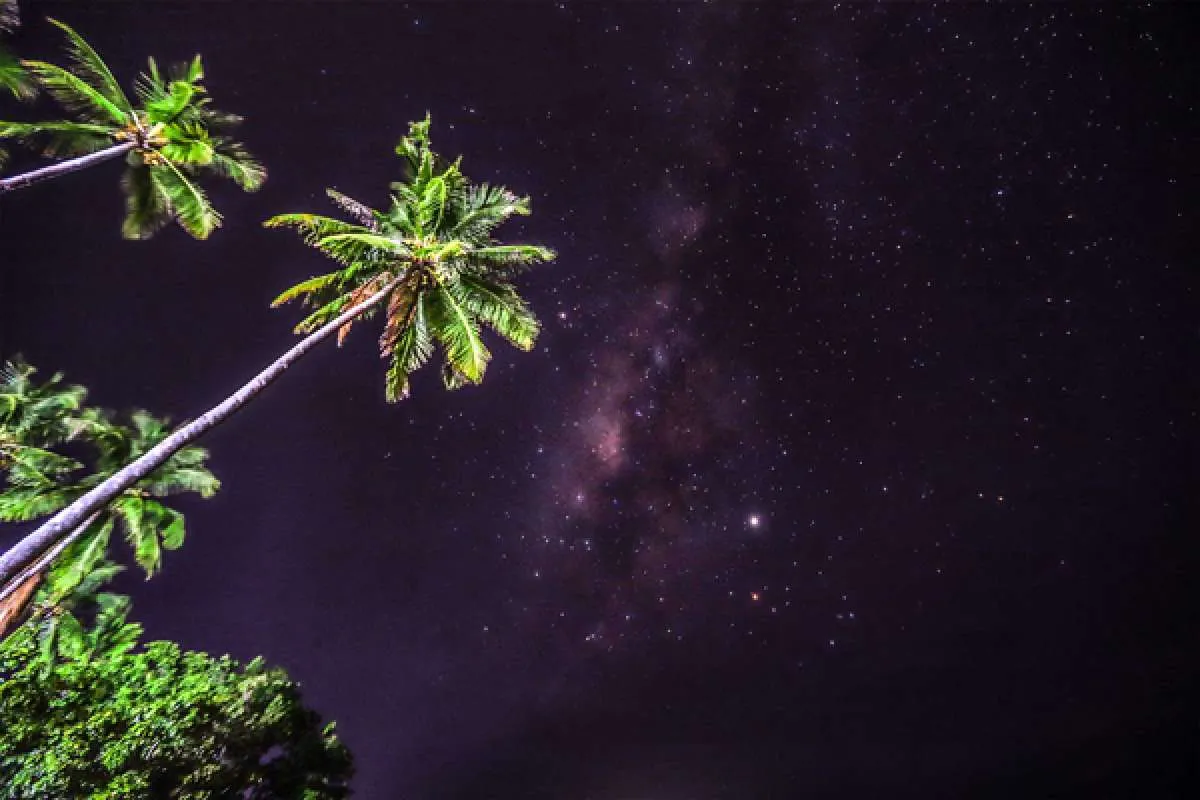 2 Cara Memotret Foto Bintang melalui Kamera HP iPhone dan Android