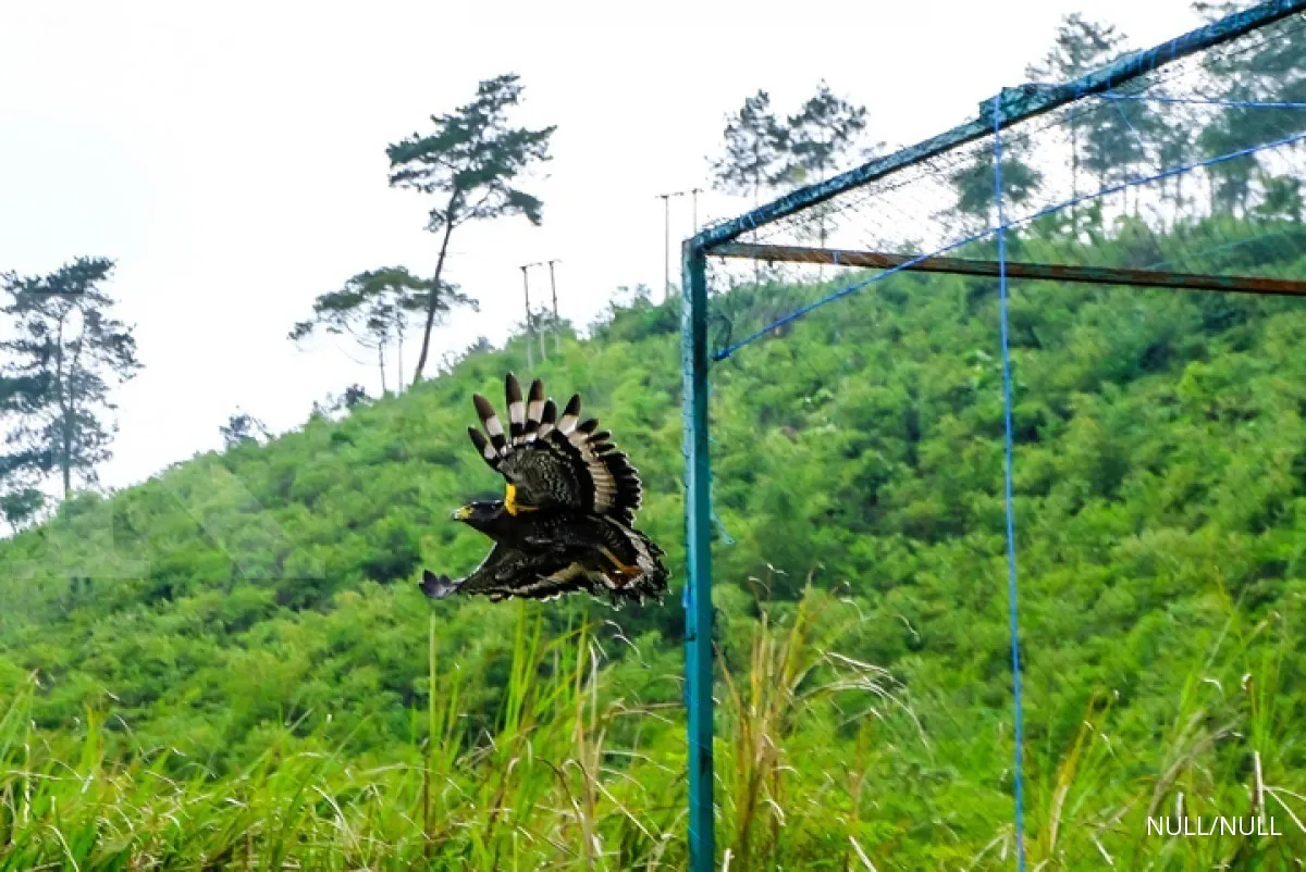 Prakiraan Cuaca Hari Ini dan Besok, Prediksi BMKG Tasikmalaya dan Garut Cerah!