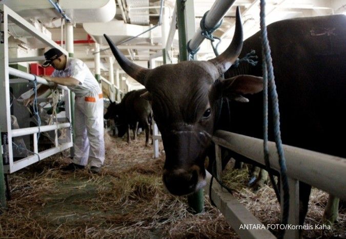 Kapal ternak tiba di Dumai, Menhub pastikan sapi di Riau tersedia