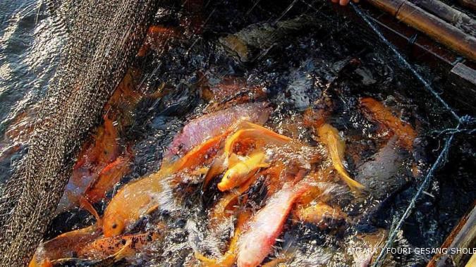 Produksi ikan air tawar di Jabar melorot