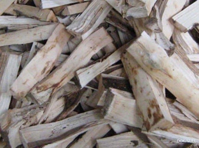 Pemerintah perlu genjot promosi produk kayu Indonesia untuk ekspor