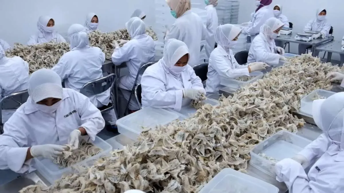 Abadi Lestari (RLCO) Beberkan Alasan Bentuk Cucu Usaha Marinova Protein