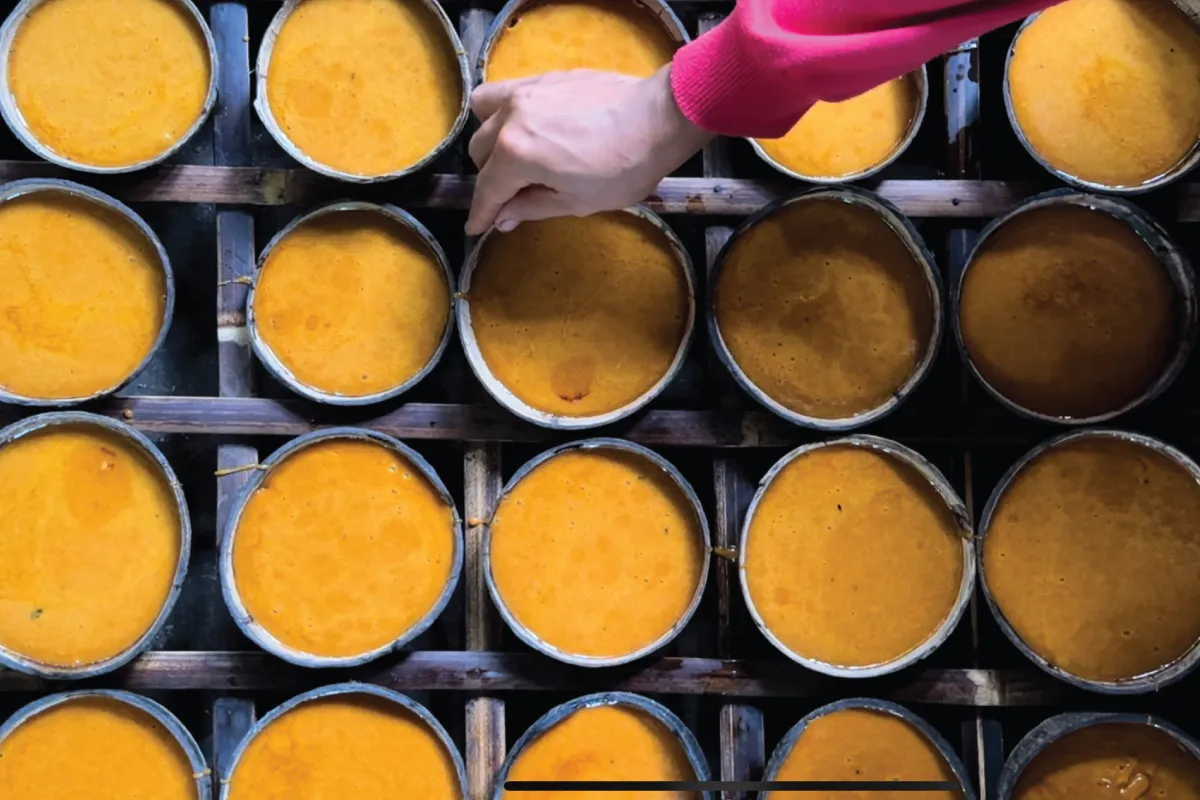 Mengenal Lebih Dekat Apa itu Produk Pegadaian Segmen Ultra Mikro