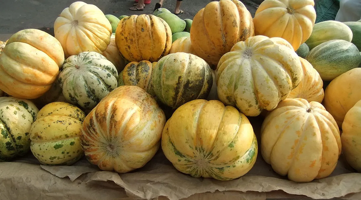 Catat 5 Manfaat Buah Blewah Untuk Kesehatan, Apa Saja?