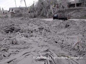 BNPB kucurkan Rp 8 M untuk salak pondoh korban Merapi