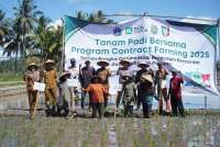 Food Station Jalin Contract Farming dengan Gapoktan di Pringsewu, Lampung