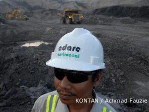 Laba bersih ADRO anjlok 49% di 2010