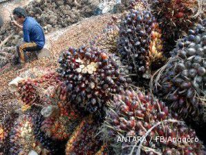 Agustus 2011, volume penjualan CPO AALI naik 14,3%