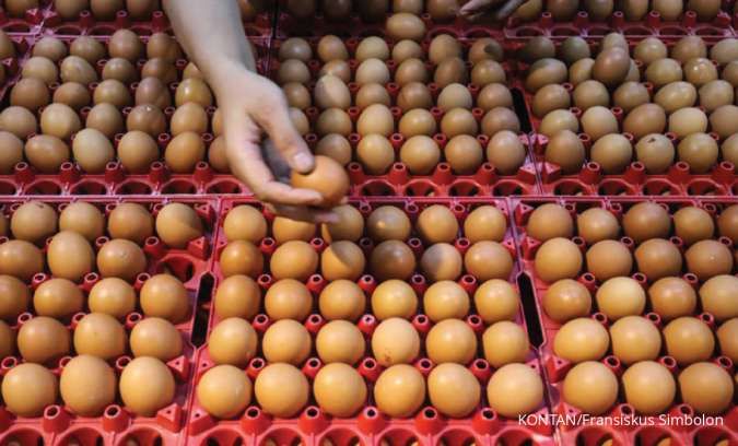 Dukungan BRI Bantu Tingkatkan Kesejahteraan Peternak Telur di Lampung