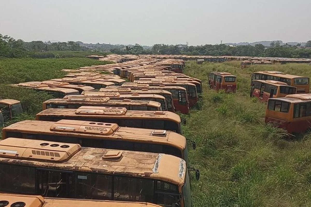 300 Transjakarta karatan yang jadi sorotan, begini cerita lengkapnya