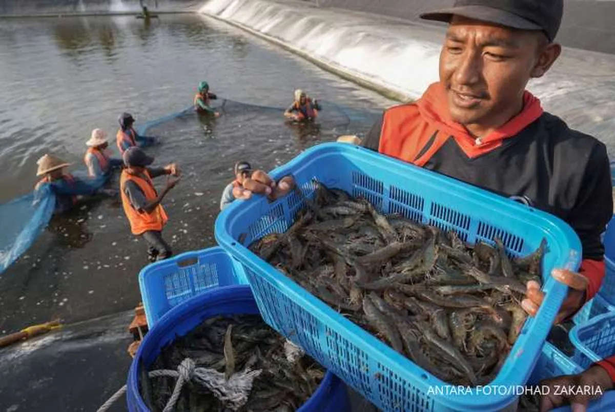 Hadapi Tuduhan Antidumping Udang oleh AS, Ini Langkah yang Disiapkan KKP