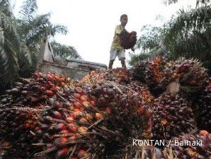 Indonesia lobi Finlandia dan Estonia soal CPO