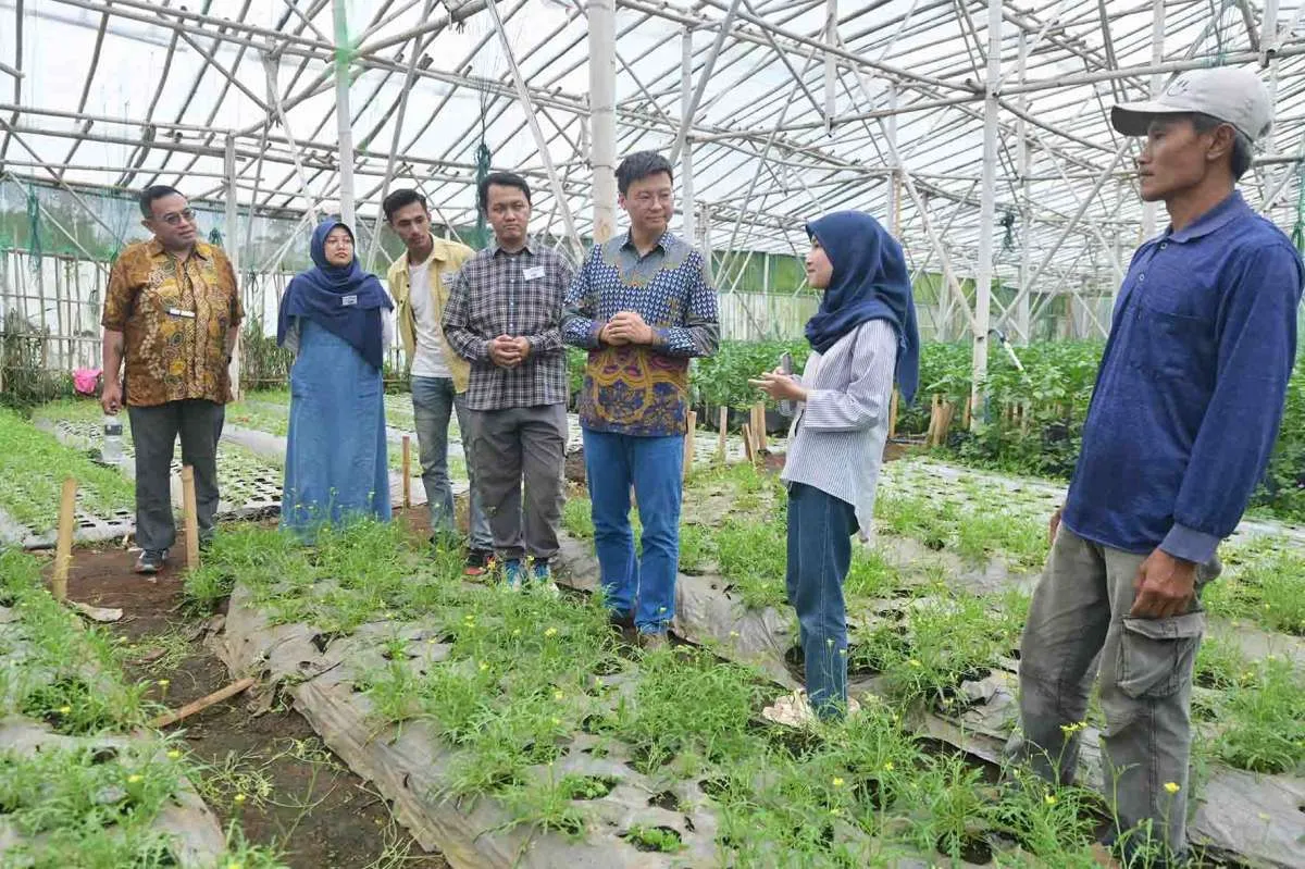 Inovasi Anak Muda Ubah Tantangan Iklim Jadi Peluang di Lahan Pertanian