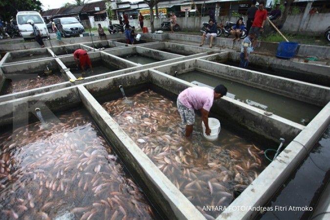 AP5I: Suplai udang dan Ikan Patin perlu ditambah untuk meningkatkan ekspor