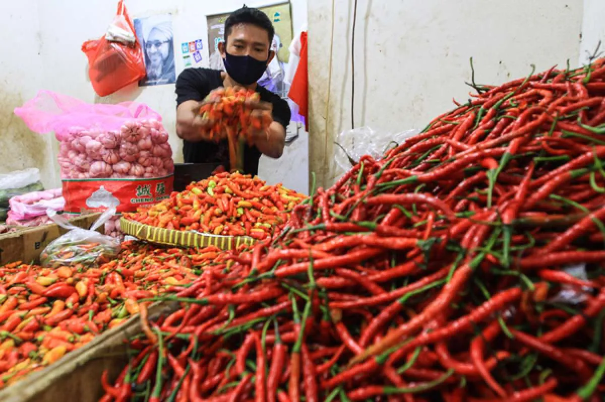 Ini upaya Kemendag stabilkan harga cabai dan bawang merah