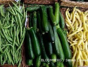 Rusia serukan larangan impor dan tarik peredaran sayur dari Uni Eropa