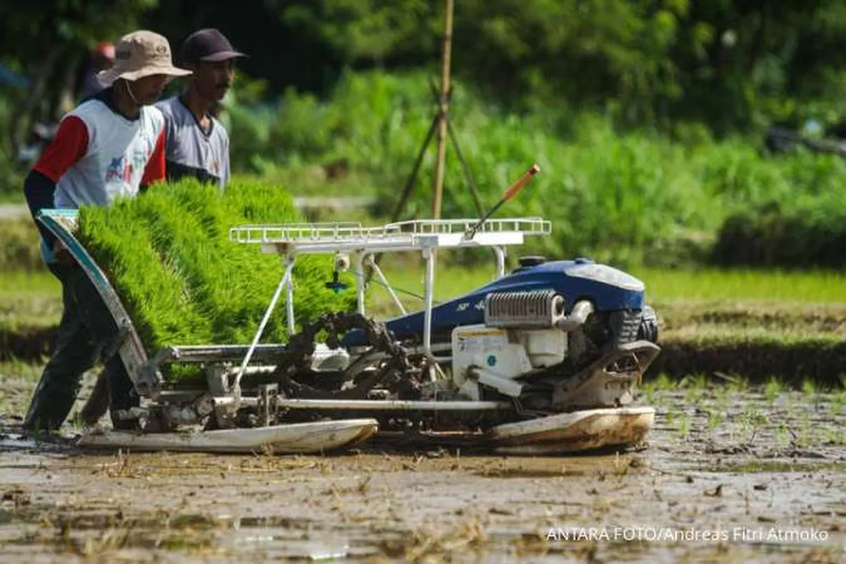 Awal Musim Hujan Mundur, Petani Diminta Sesuaikan Pola Tanam
