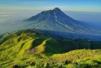 Fakta Riil Tutupan Hutan RI, Modalitas Diplomasi Indonesia Hadapi Tantangan EUDR