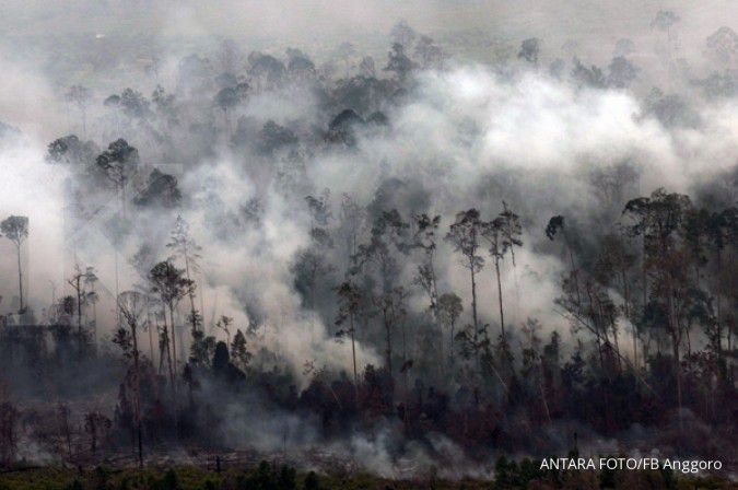 7 area hutan di Riau masih terbakar