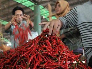 BPS minta pemerintah kendalikan harga cabai dan beras