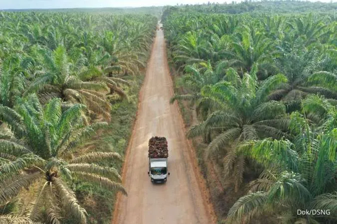 Indonesia Plans to Double Palm Oil Replanting Subsidy to Spur Participation
