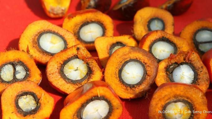 Spekulasi stok surut, harga CPO melambung