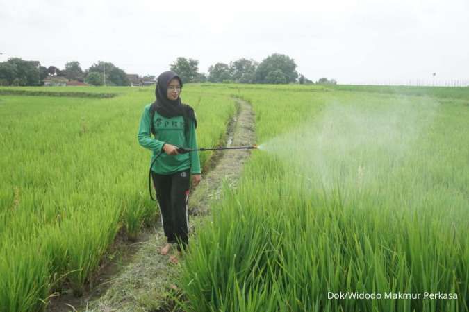 Inovasi Petani Muda Klaten Untuk Ketahanan Pangan Indonesia 