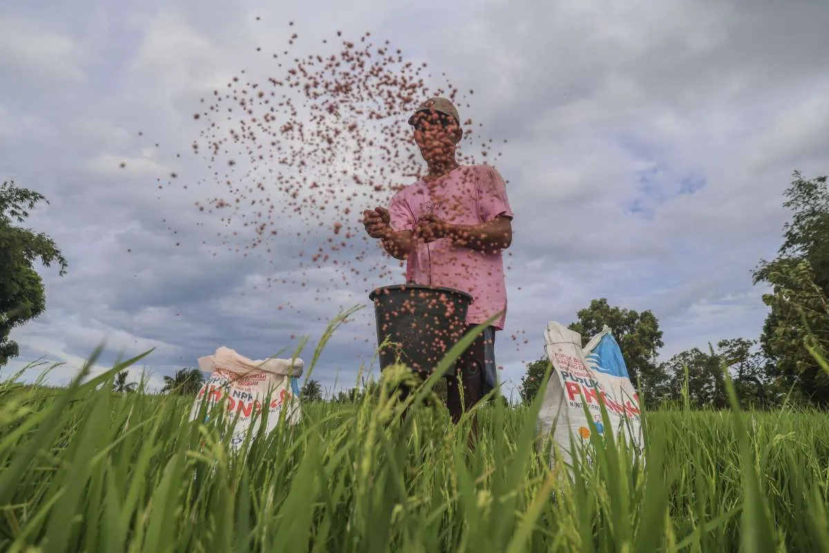 Perpres Baru Terbit, Skema Subsidi Pupuk Dinilai Lebih Transparan