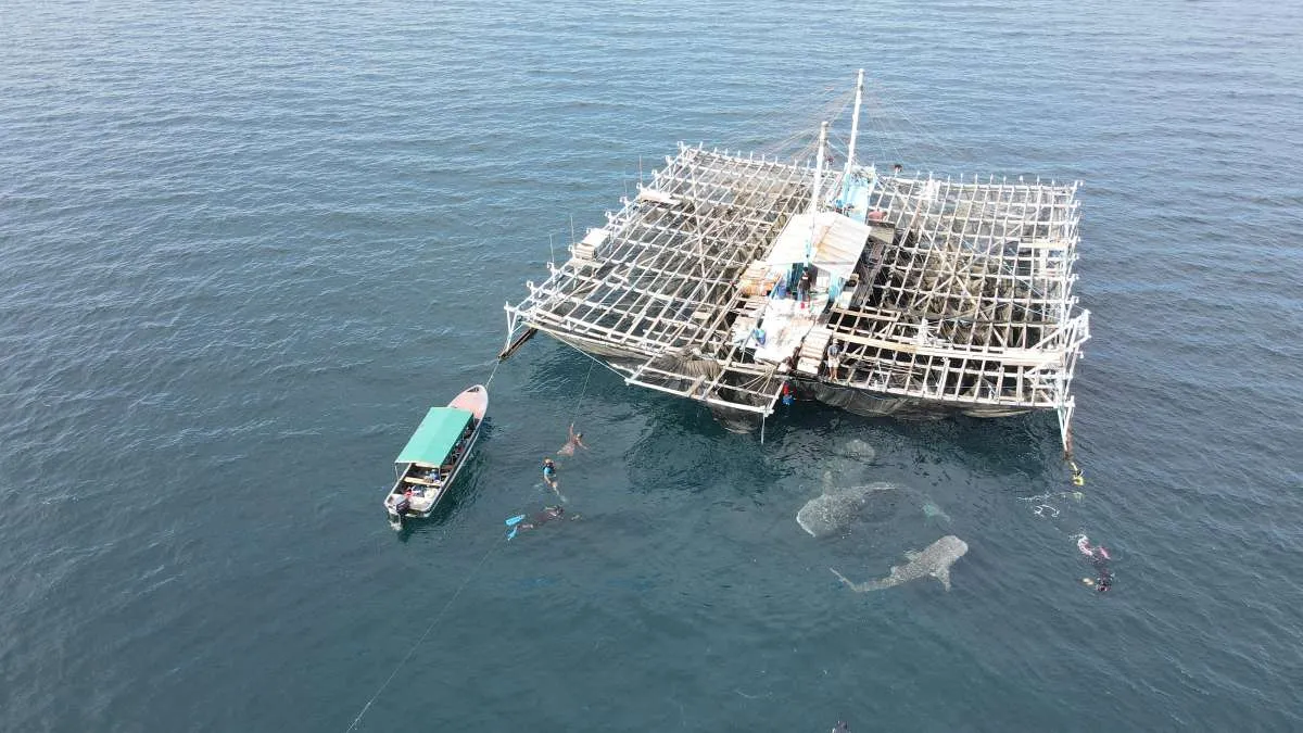 PIS Sukses Raih Skor ESG BBB, Terbaik di Industri Shipping Nasional